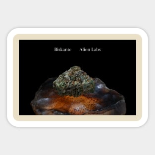 Biskante on Rock - Weed Design Sticker